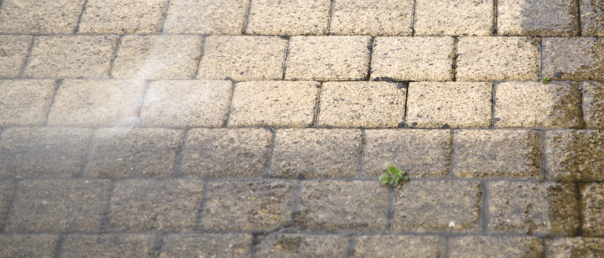 flagging and patios CR0